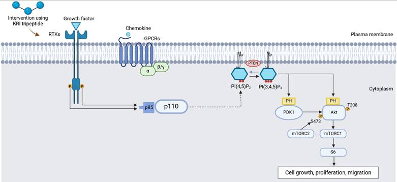 Int J Med Sci Image