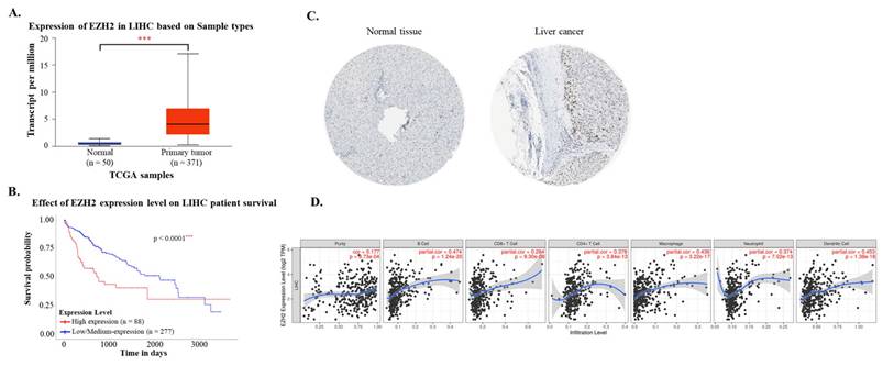 Int J Med Sci Image