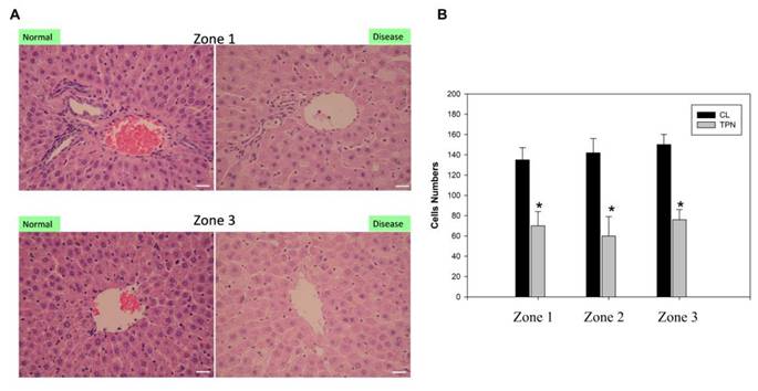 Int J Med Sci Image