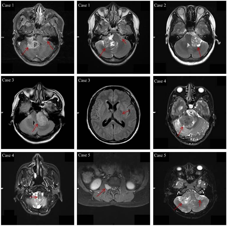 Int J Med Sci Image
