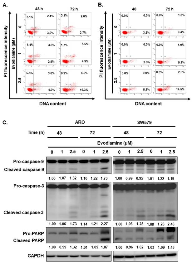 Int J Med Sci Image