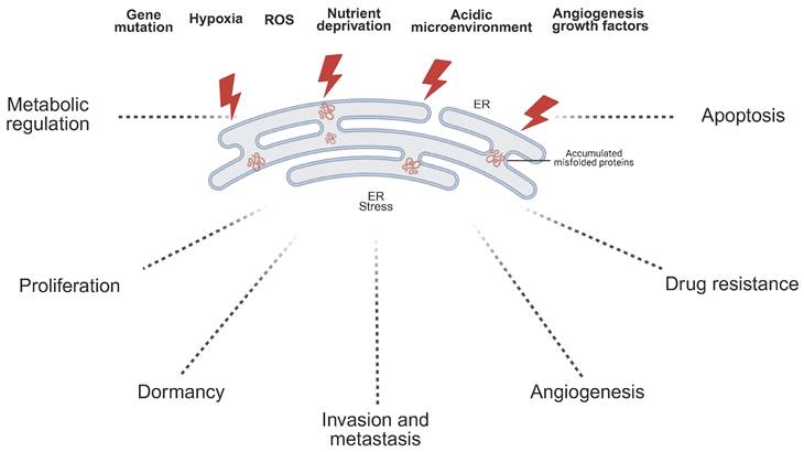 Int J Med Sci Image