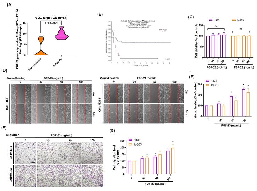 Int J Med Sci Image
