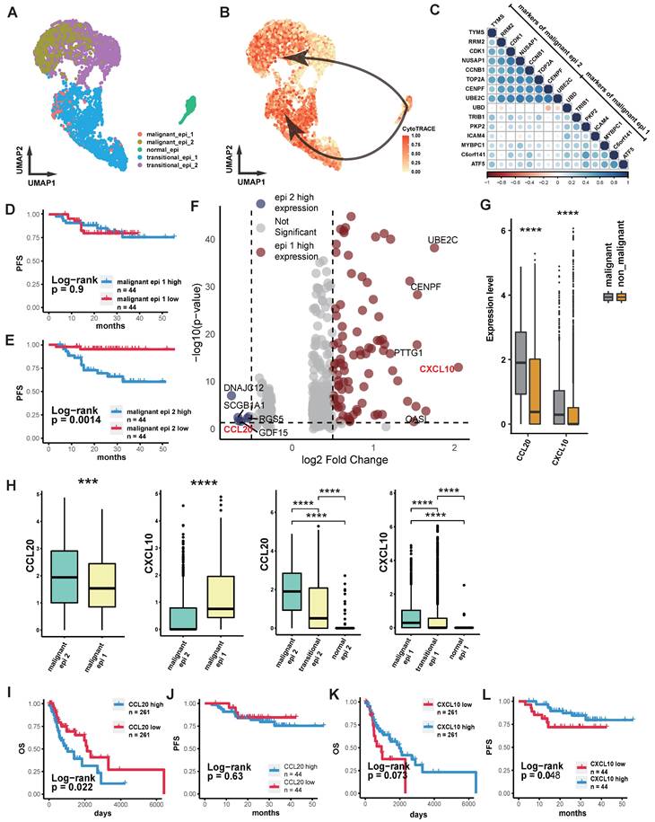 Int J Med Sci Image