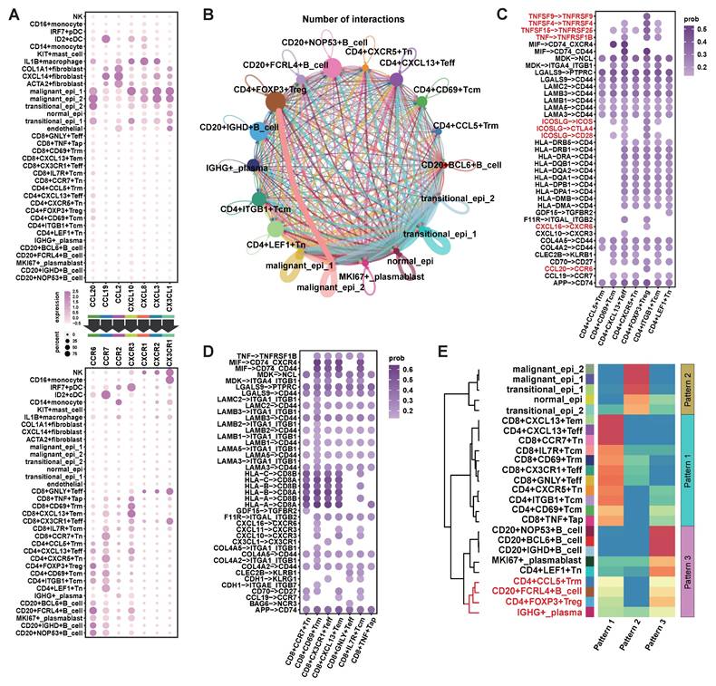 Int J Med Sci Image