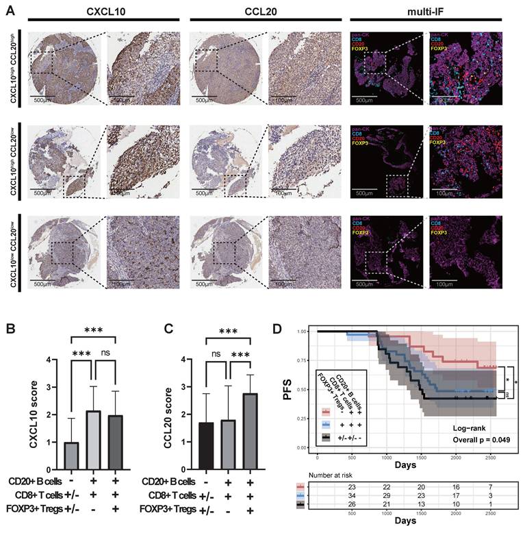 Int J Med Sci Image