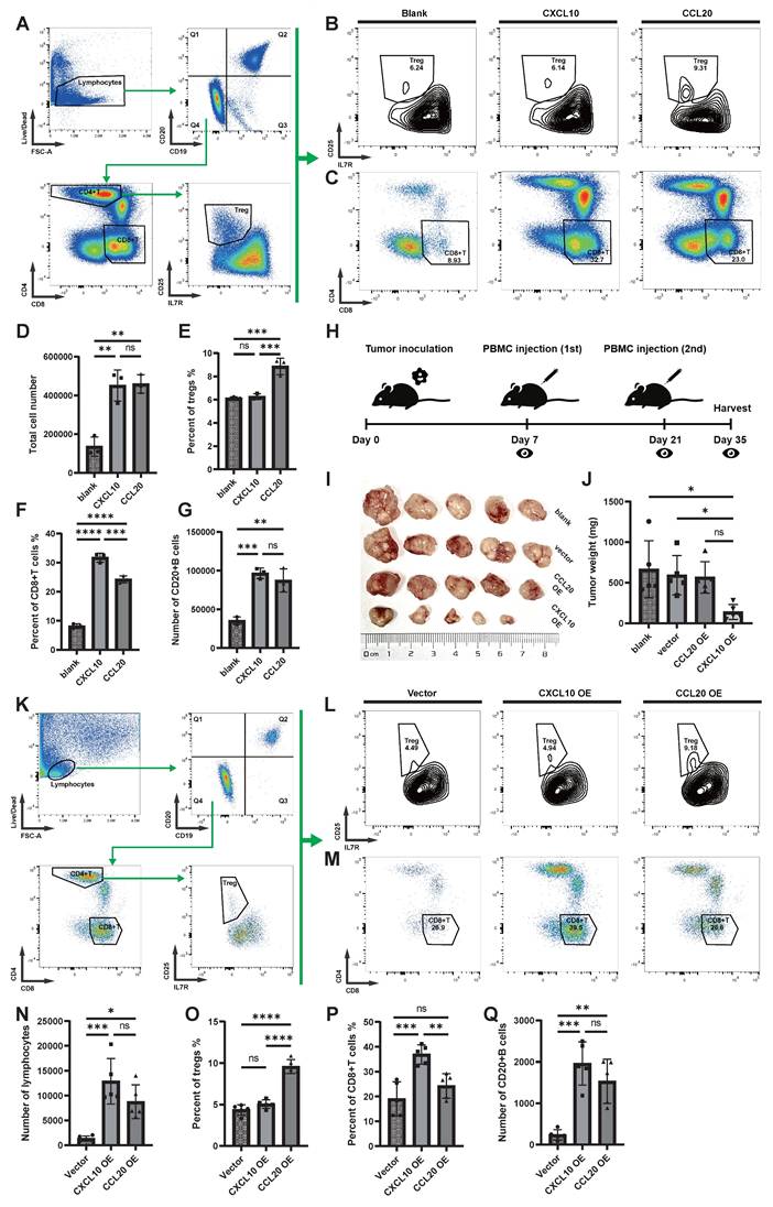 Int J Med Sci Image