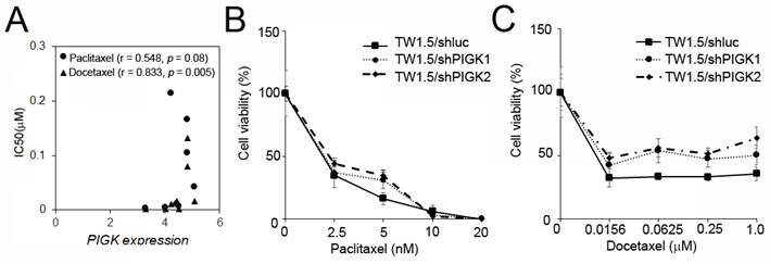 Int J Med Sci Image