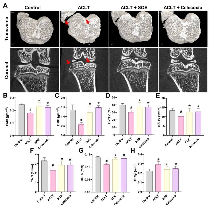 Int J Med Sci Image