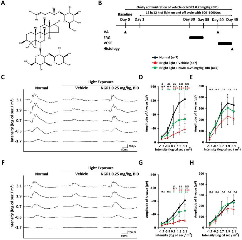 Int J Med Sci Image