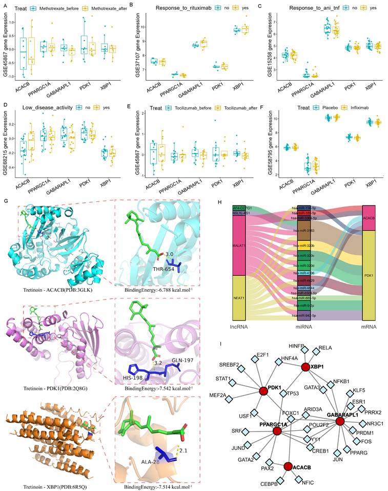 Int J Med Sci Image