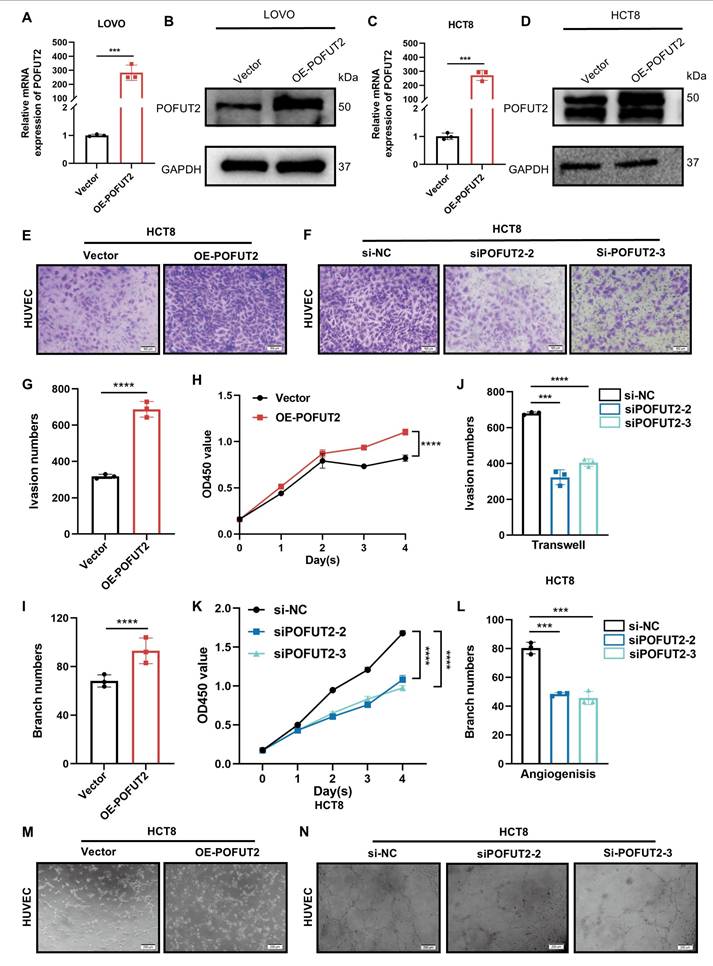 Int J Med Sci Image