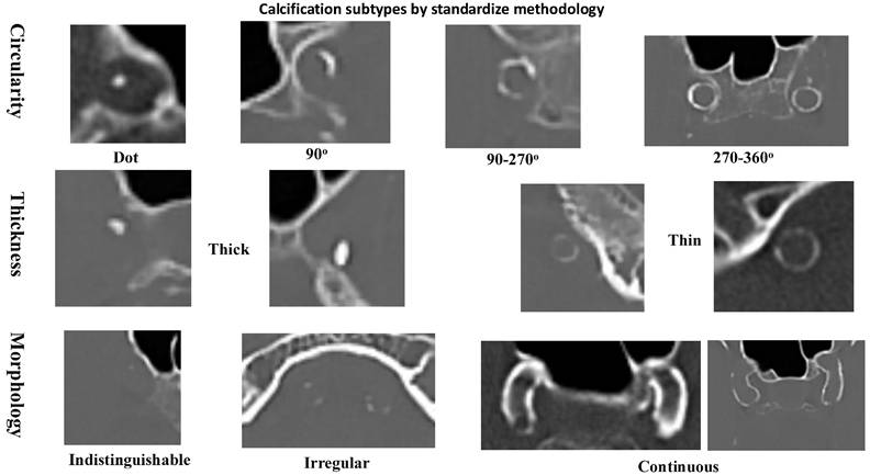 Int J Med Sci Image