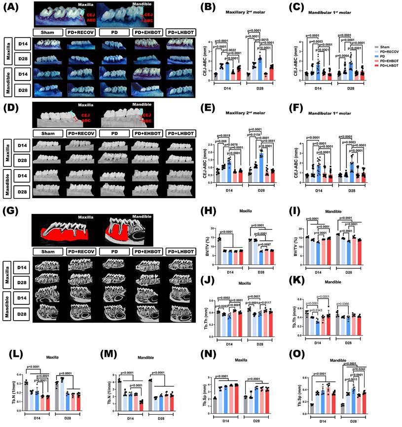 Int J Med Sci Image