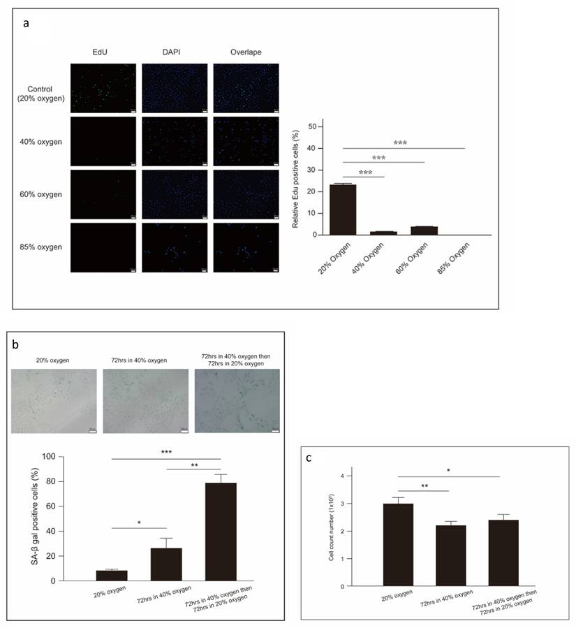 Int J Med Sci Image
