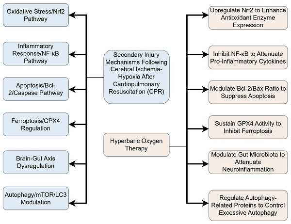 Neuroprotective Mechanisms of Hyperbaric Oxygen Therapy in