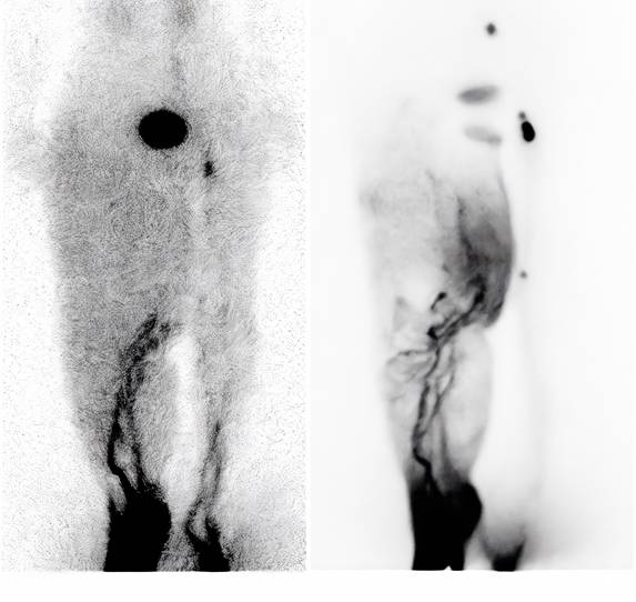 Int J Med Sci Image