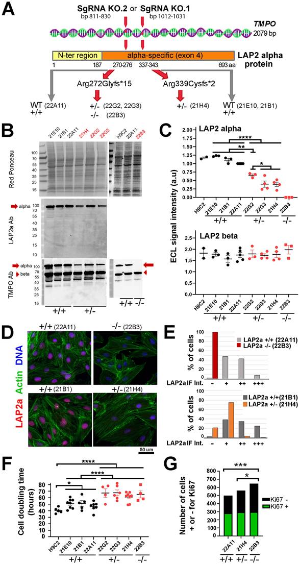 Int J Med Sci Image