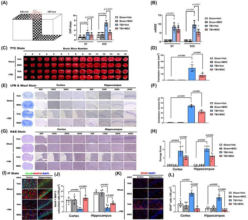 Int J Med Sci Image