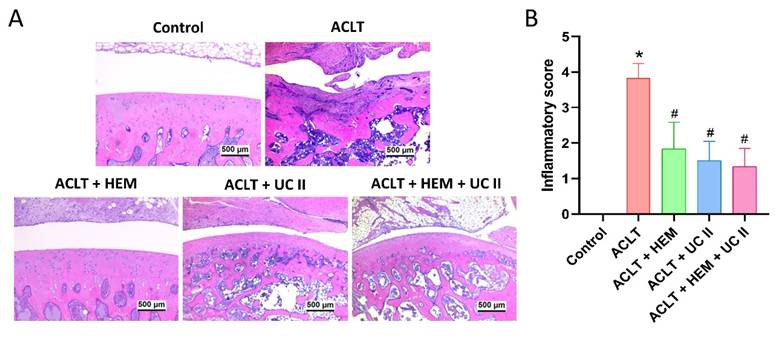 Int J Med Sci Image