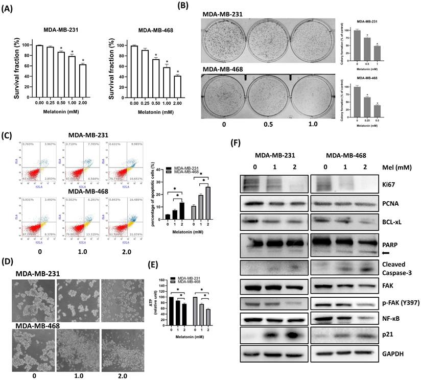 Int J Med Sci Image
