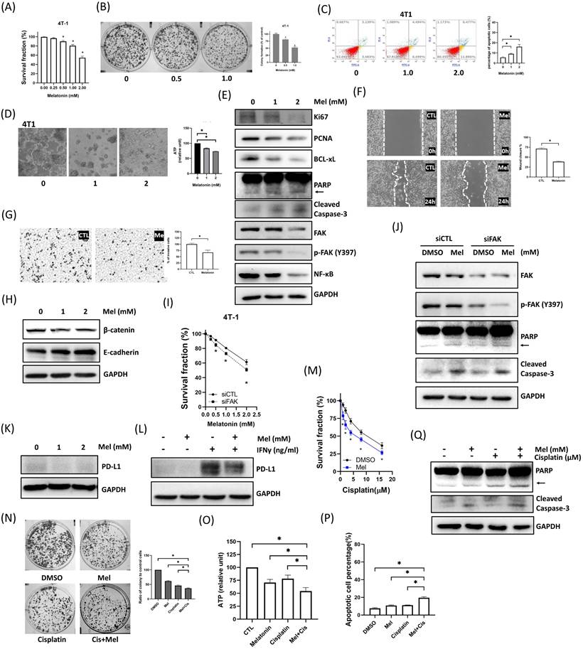 Int J Med Sci Image