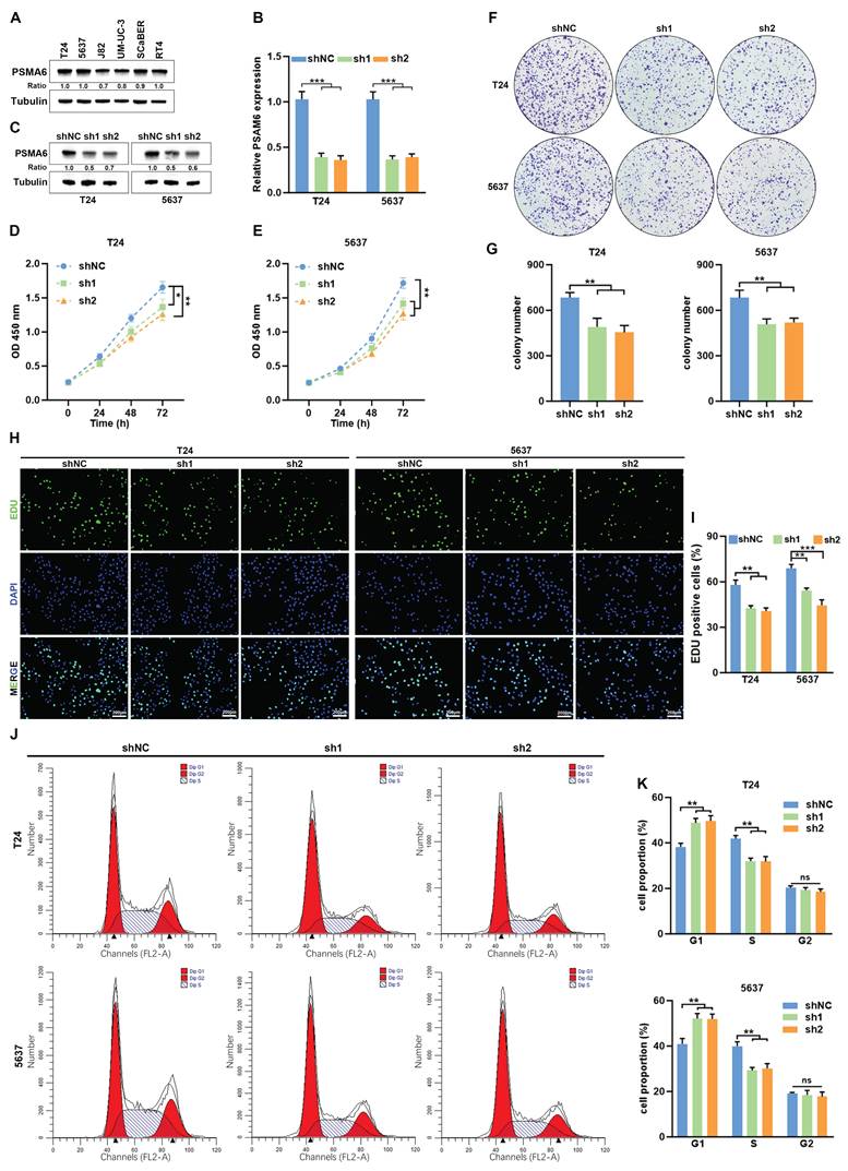 Int J Med Sci Image