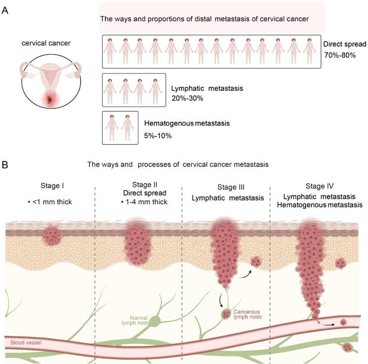 Int J Med Sci Image