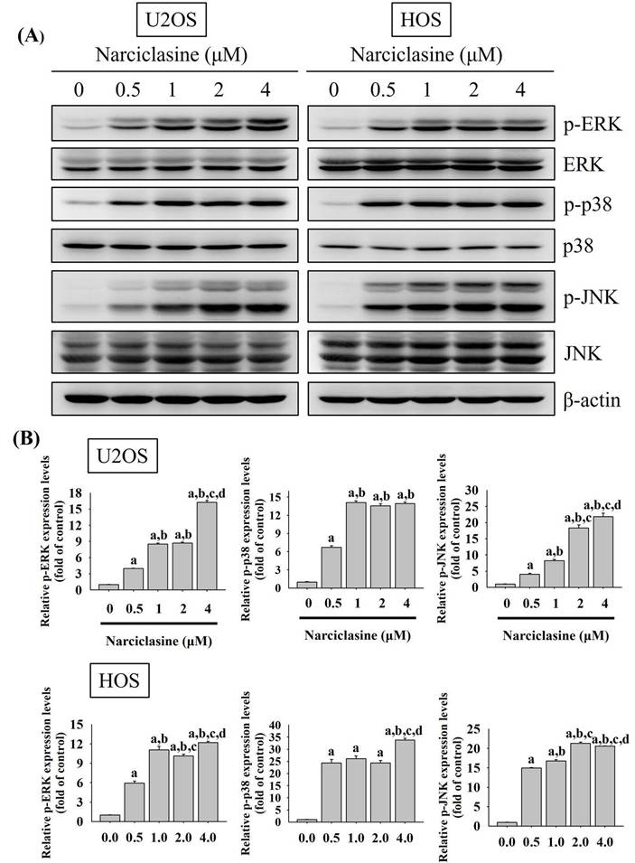 Int J Med Sci Image