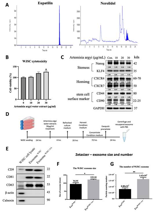 Int J Med Sci Image