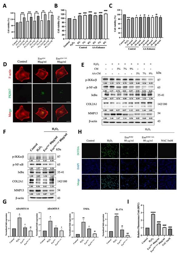 Int J Med Sci Image