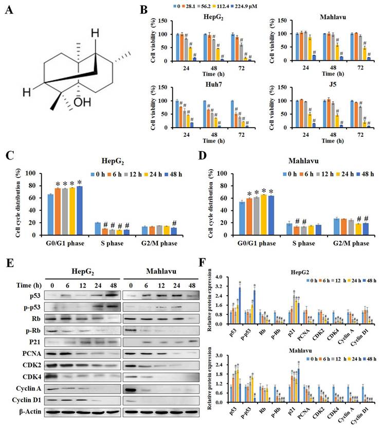 Int J Med Sci Image