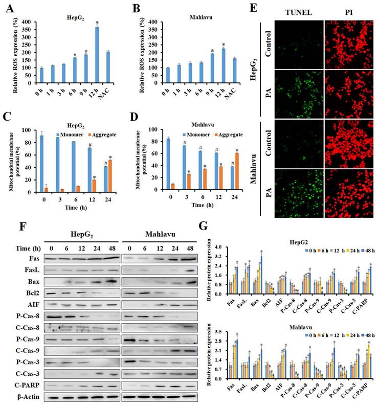 Int J Med Sci Image