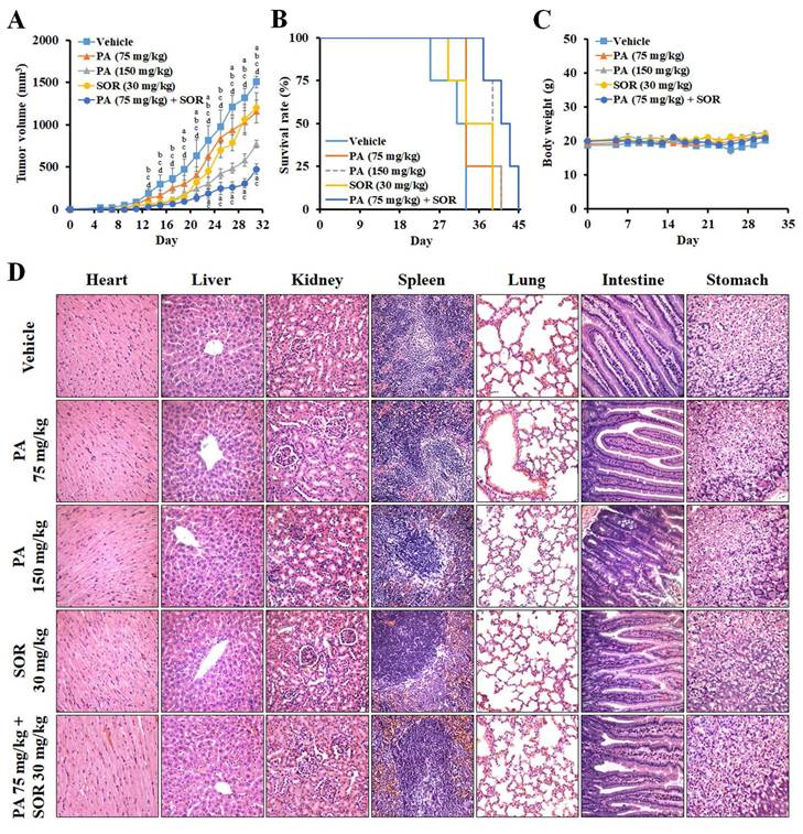 Int J Med Sci Image