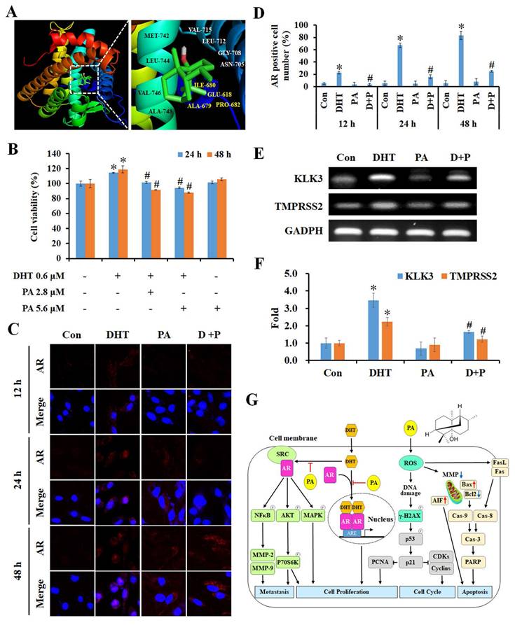 Int J Med Sci Image