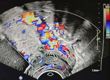 Int J Med Sci Image