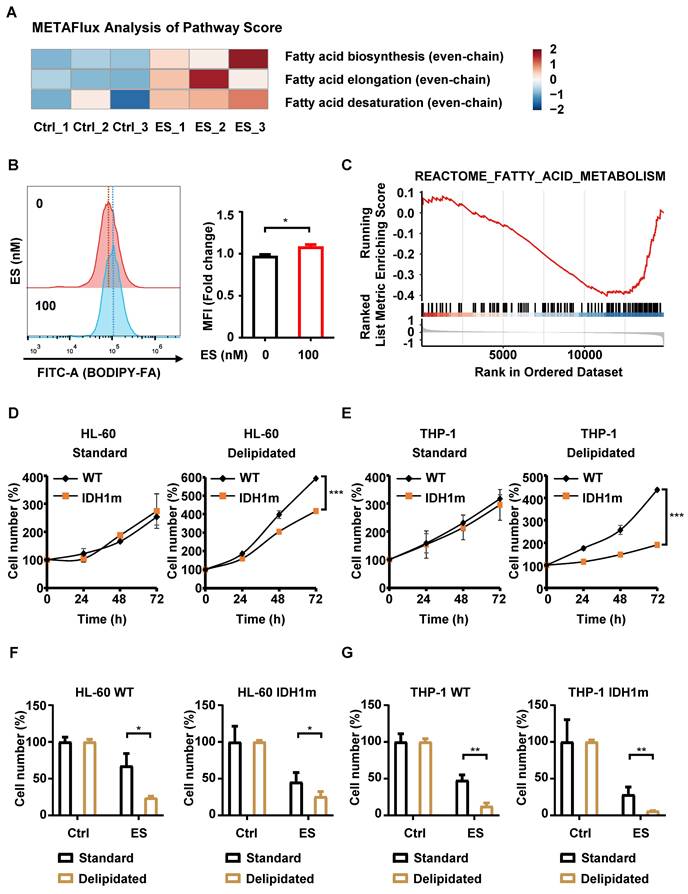 Int J Med Sci Image