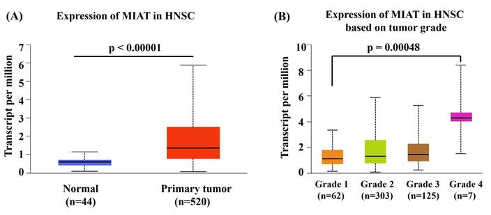 Int J Med Sci Image