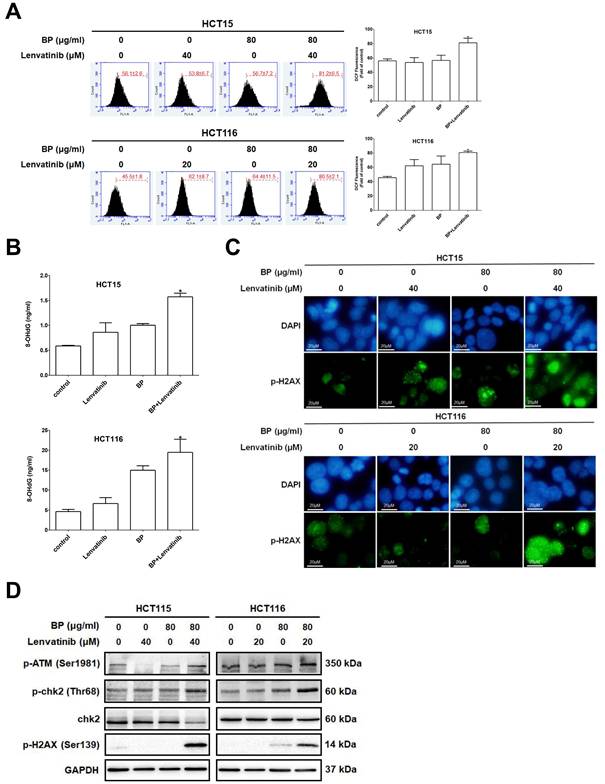 Int J Med Sci Image