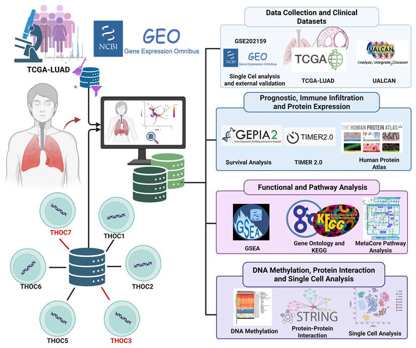 Int J Med Sci Image