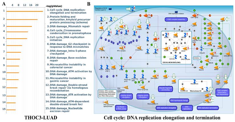 Int J Med Sci Image