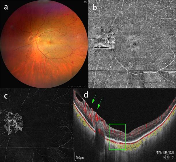 Int J Med Sci Image