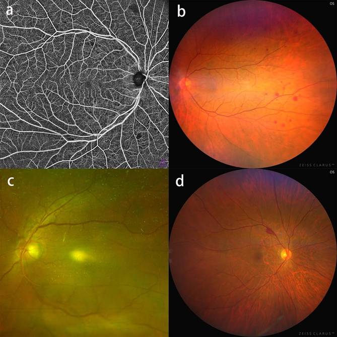 Int J Med Sci Image