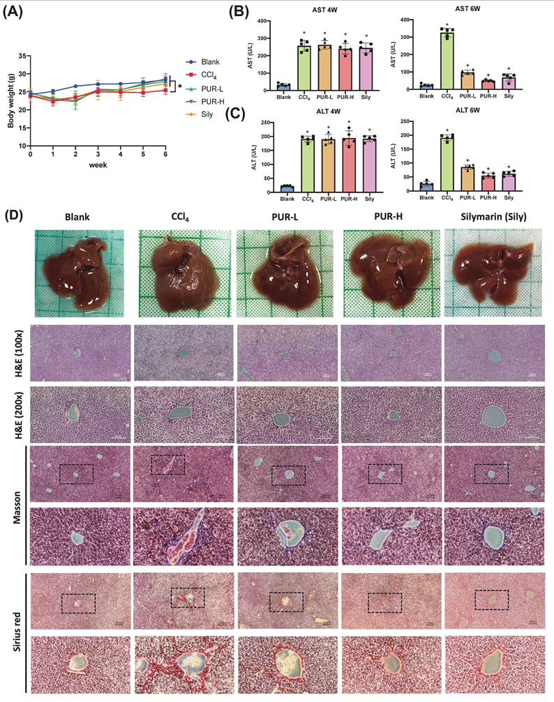 Int J Med Sci Image