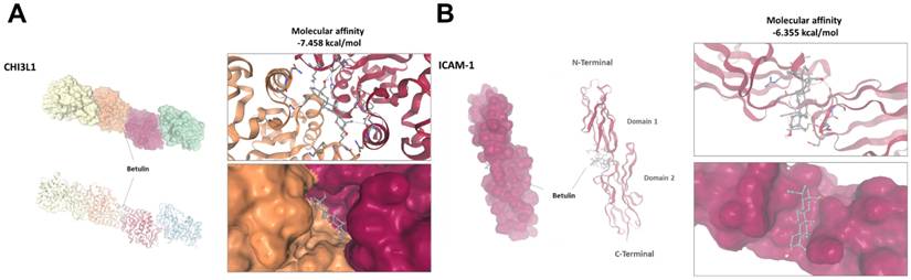 Int J Med Sci Image