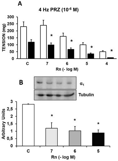 Int J Med Sci Image