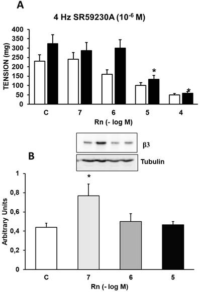 Int J Med Sci Image