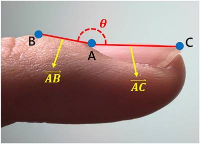 Int J Med Sci Image