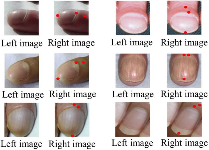 Int J Med Sci Image