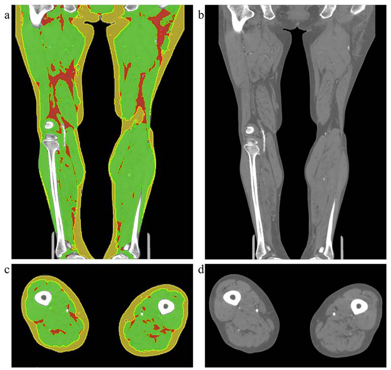 Int J Med Sci Image